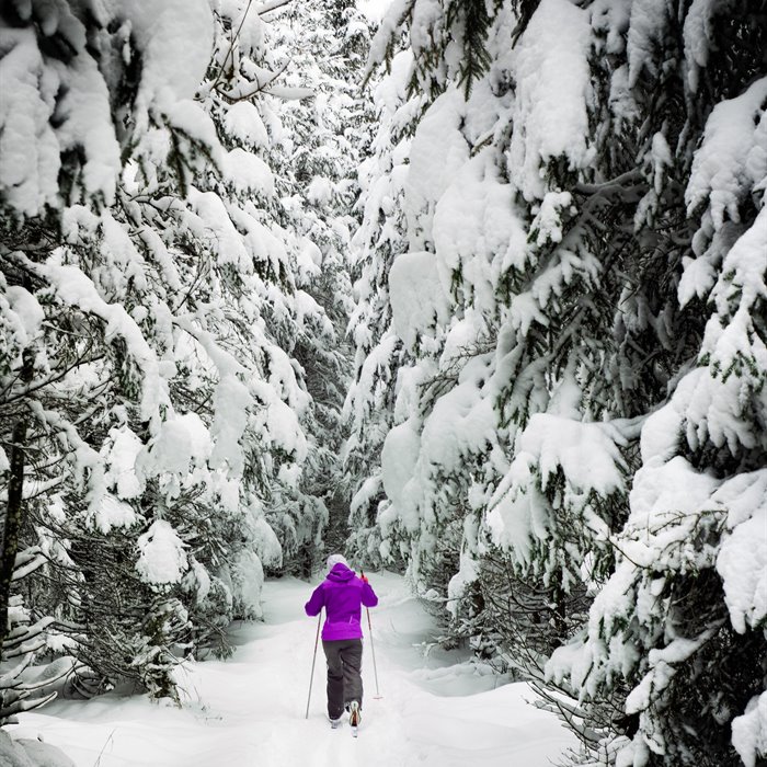 SPECIALE INVERNO